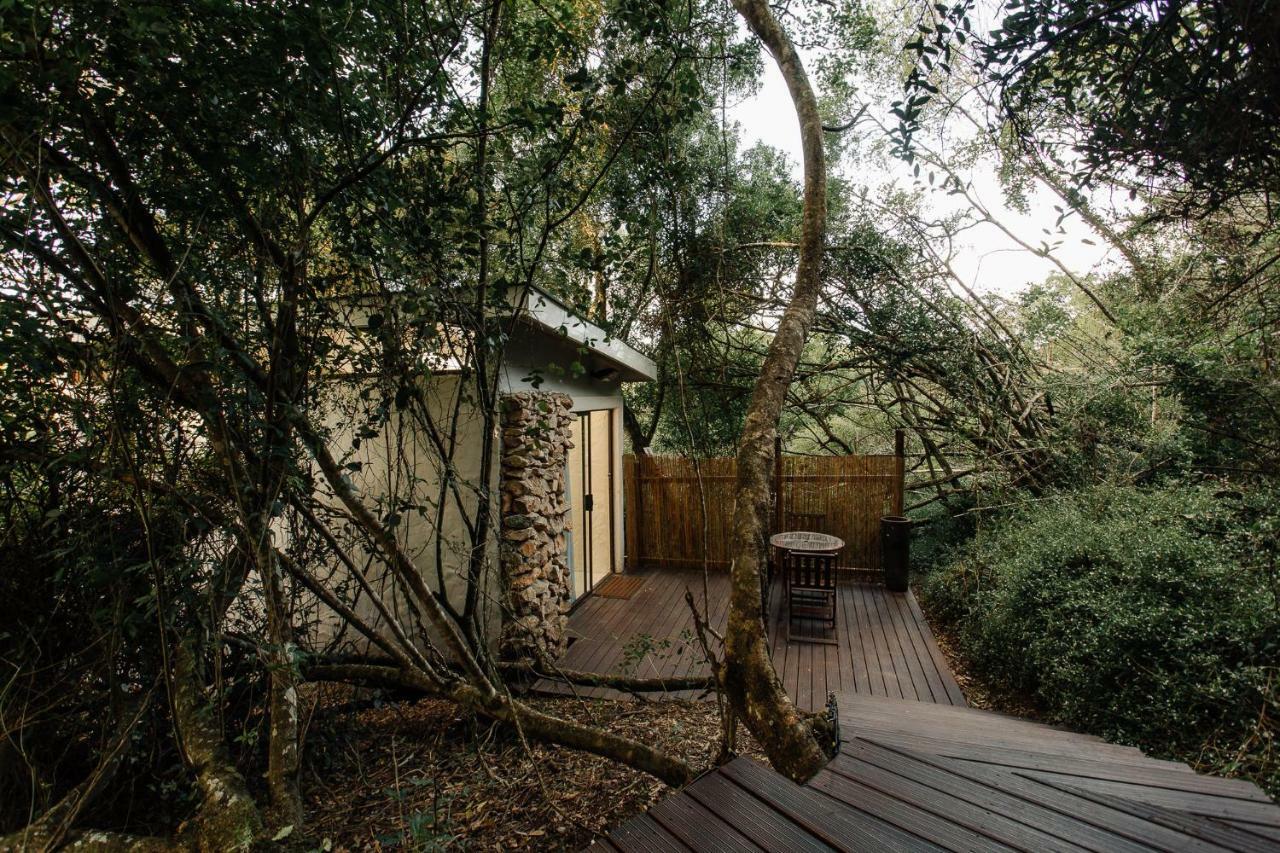 L'Auberge Country Hideaway بورت اليزابيث المظهر الخارجي الصورة