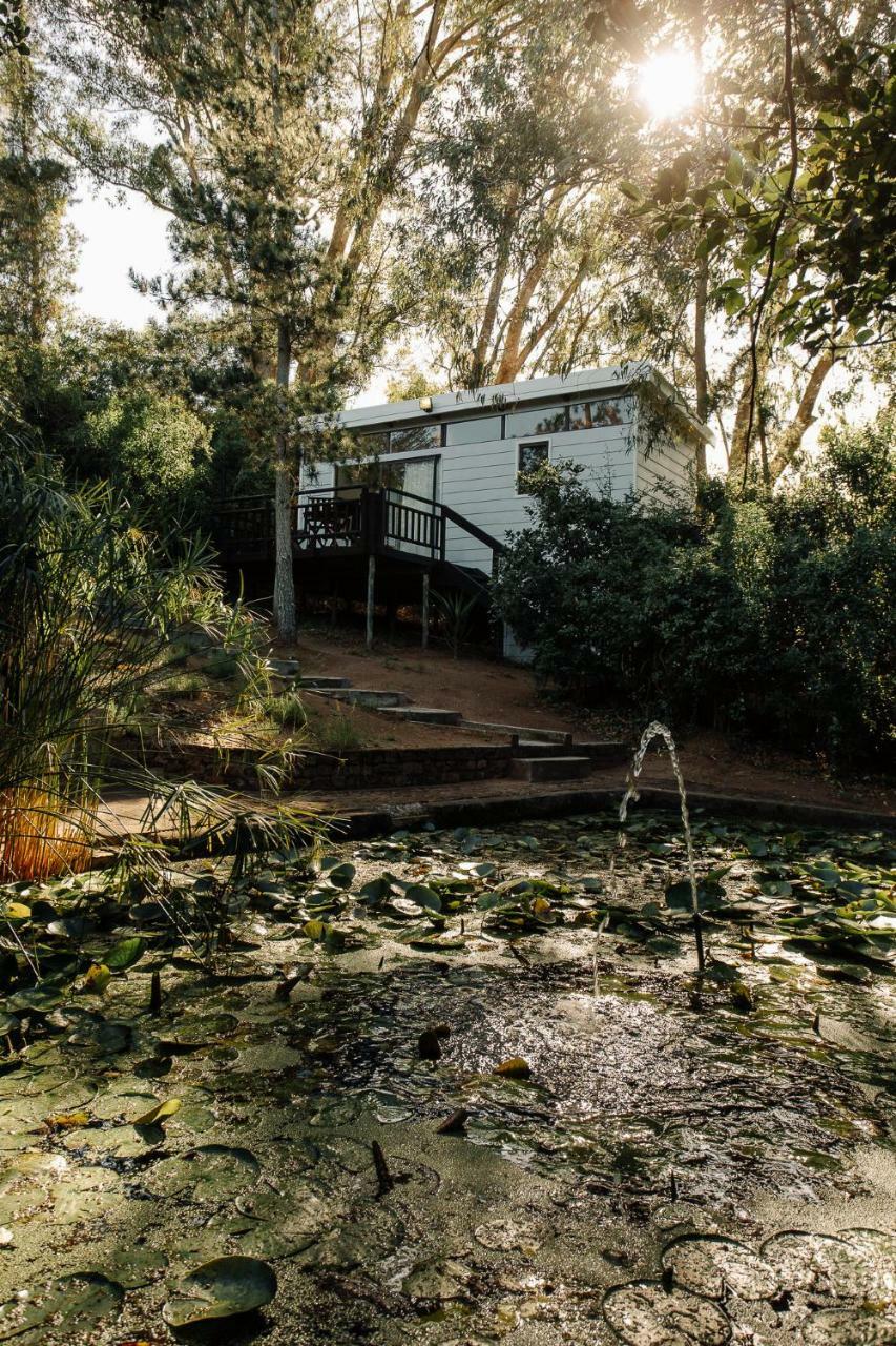 L'Auberge Country Hideaway بورت اليزابيث المظهر الخارجي الصورة