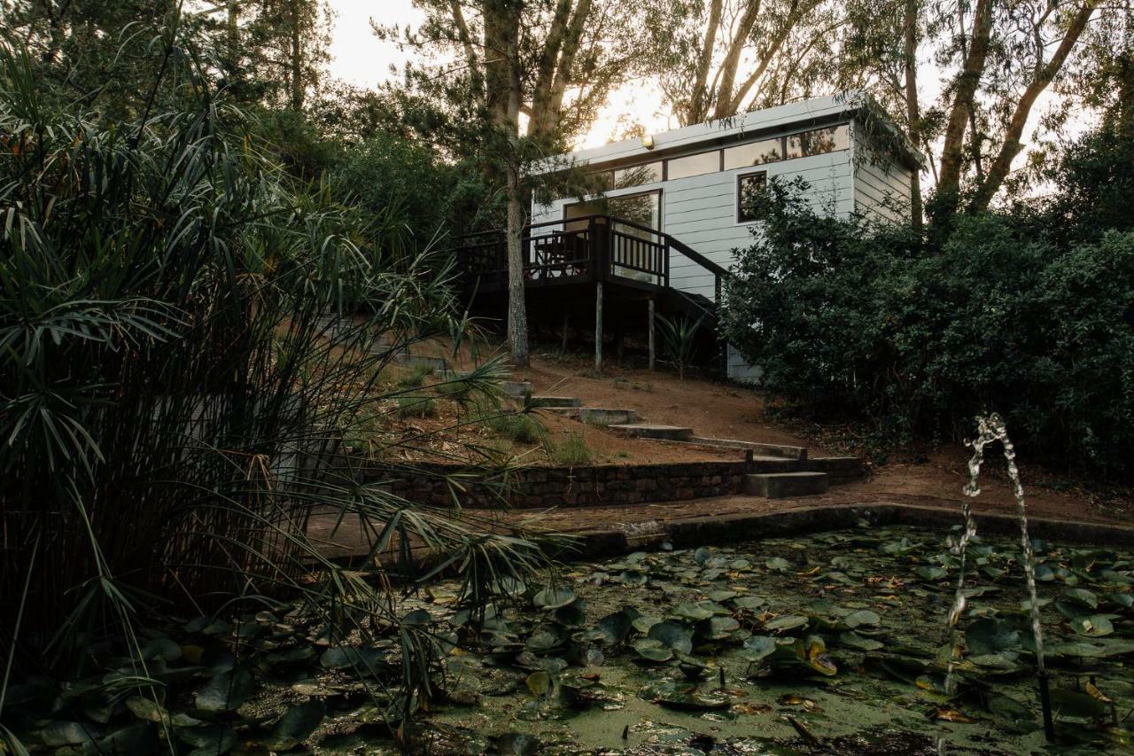L'Auberge Country Hideaway بورت اليزابيث المظهر الخارجي الصورة